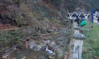 DSCN0779.JPG